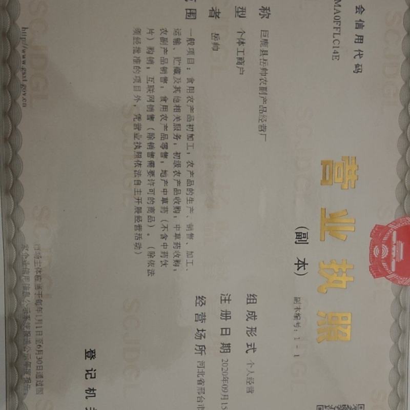 河北巨鹿县水果茶加工