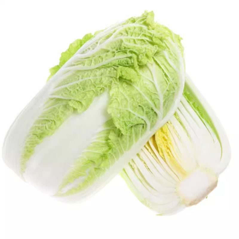 山东黄心白菜新鲜现采产地直供批发物流直达量大价优食堂工