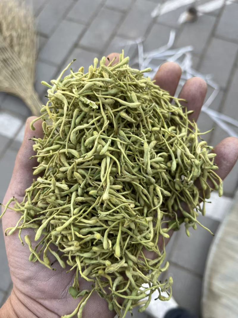 河北巨鹿县水果茶加工