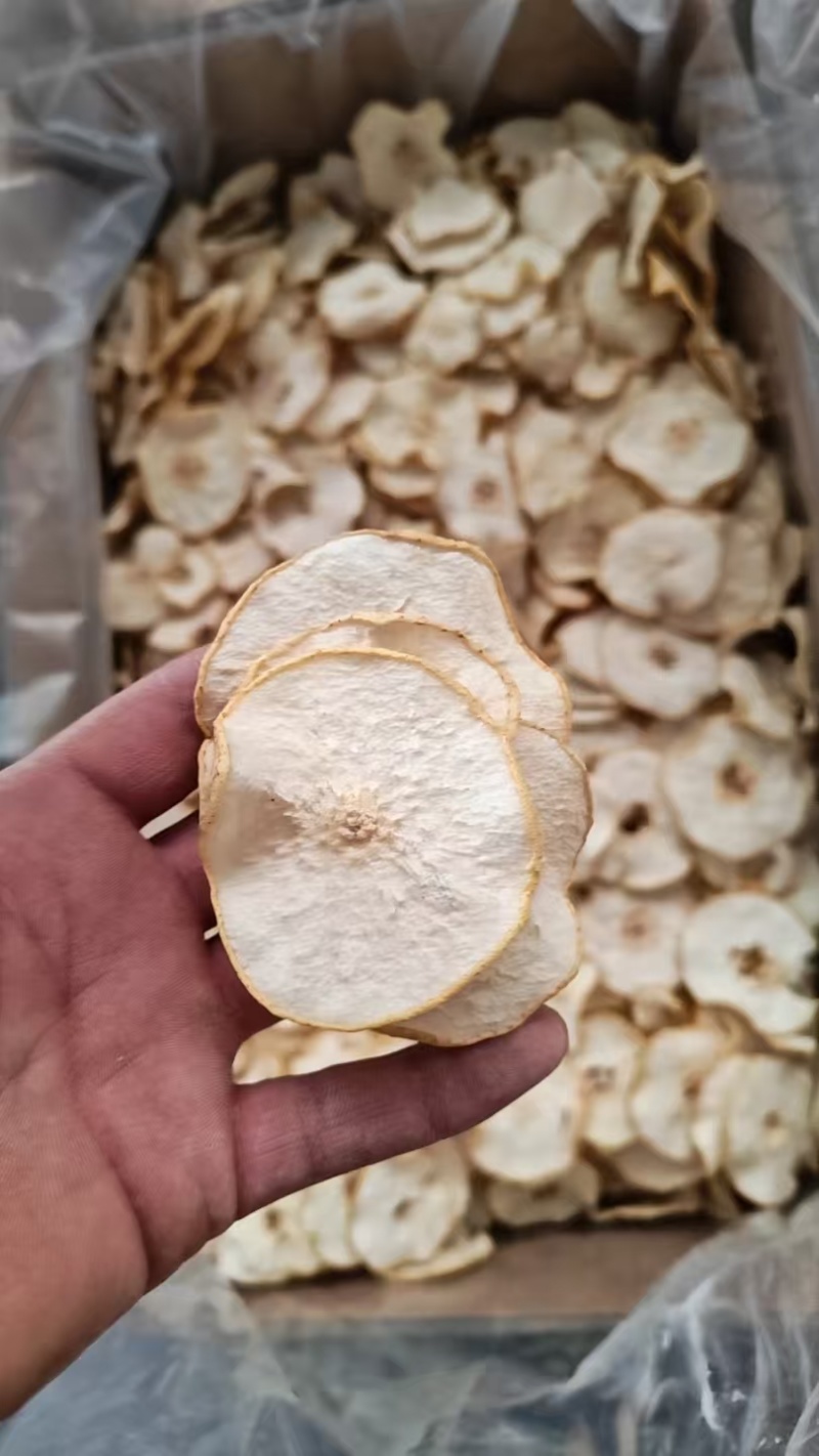 河北巨鹿县水果茶加工