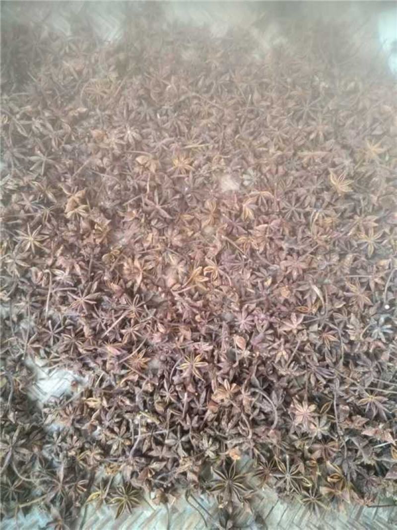 广西百色春花八角产地货源充足量大价优欢迎随时联系