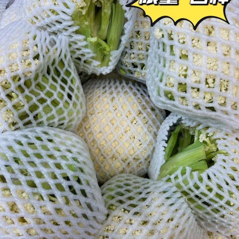 山东新鲜白面青梗松花菜散花菜现砍产地直供批发量大耐储运