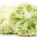 山东新鲜白面青梗松花菜散花菜现砍产地直供批发量大耐储运
