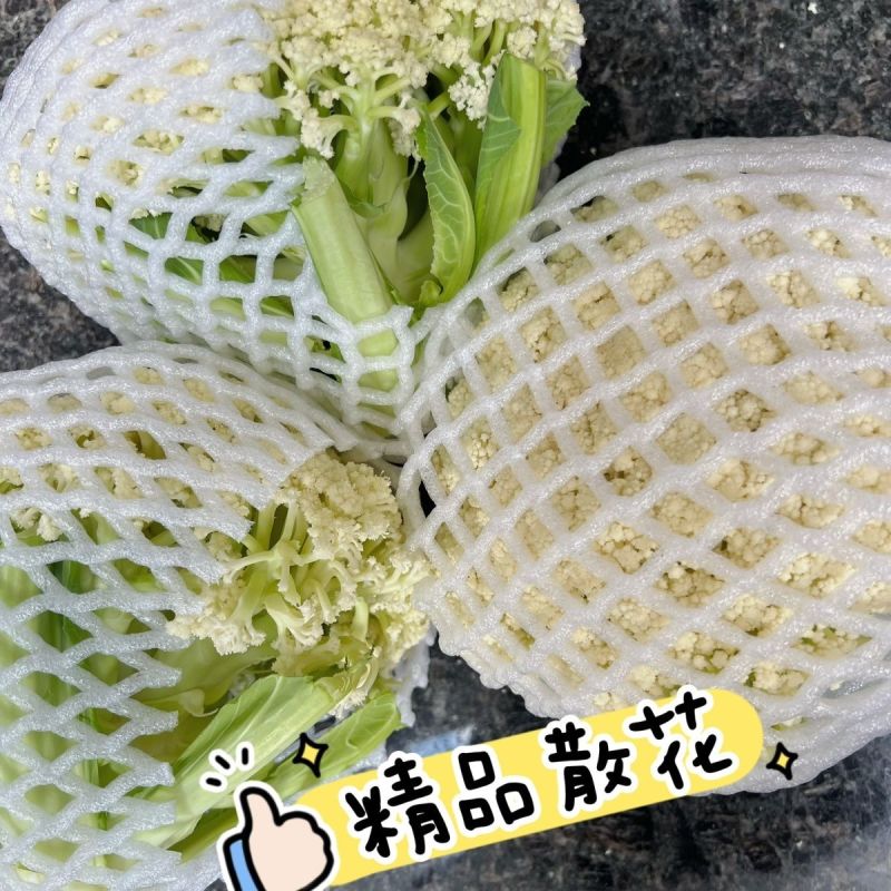 山东新鲜白面青梗松花菜散花菜现砍产地直供批发量大耐储运