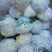 山东新鲜白面青梗松花菜散花菜现砍产地直供批发量大耐储运