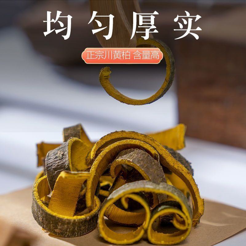 黄柏精选川黄柏中药材新鲜黄柏皮野生带皮黄柏批发零售