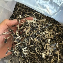 白背毛木耳，切丝，原货，头茬，二茬，三茬，小秋菜