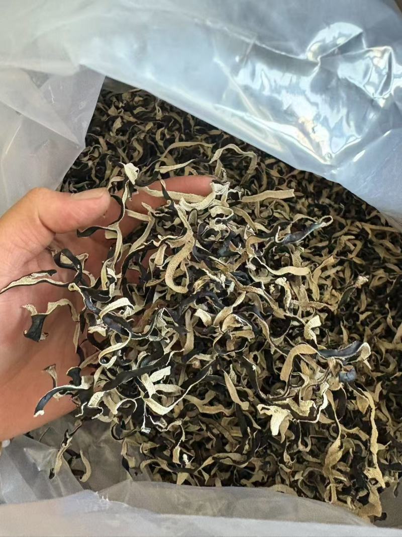 白背毛木耳，切丝，原货，头茬，二茬，三茬，小秋菜