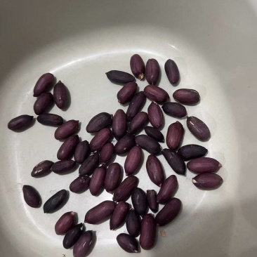 富硒黑花生安徽花生带壳干花生基地直发价格实惠欢迎老板联系