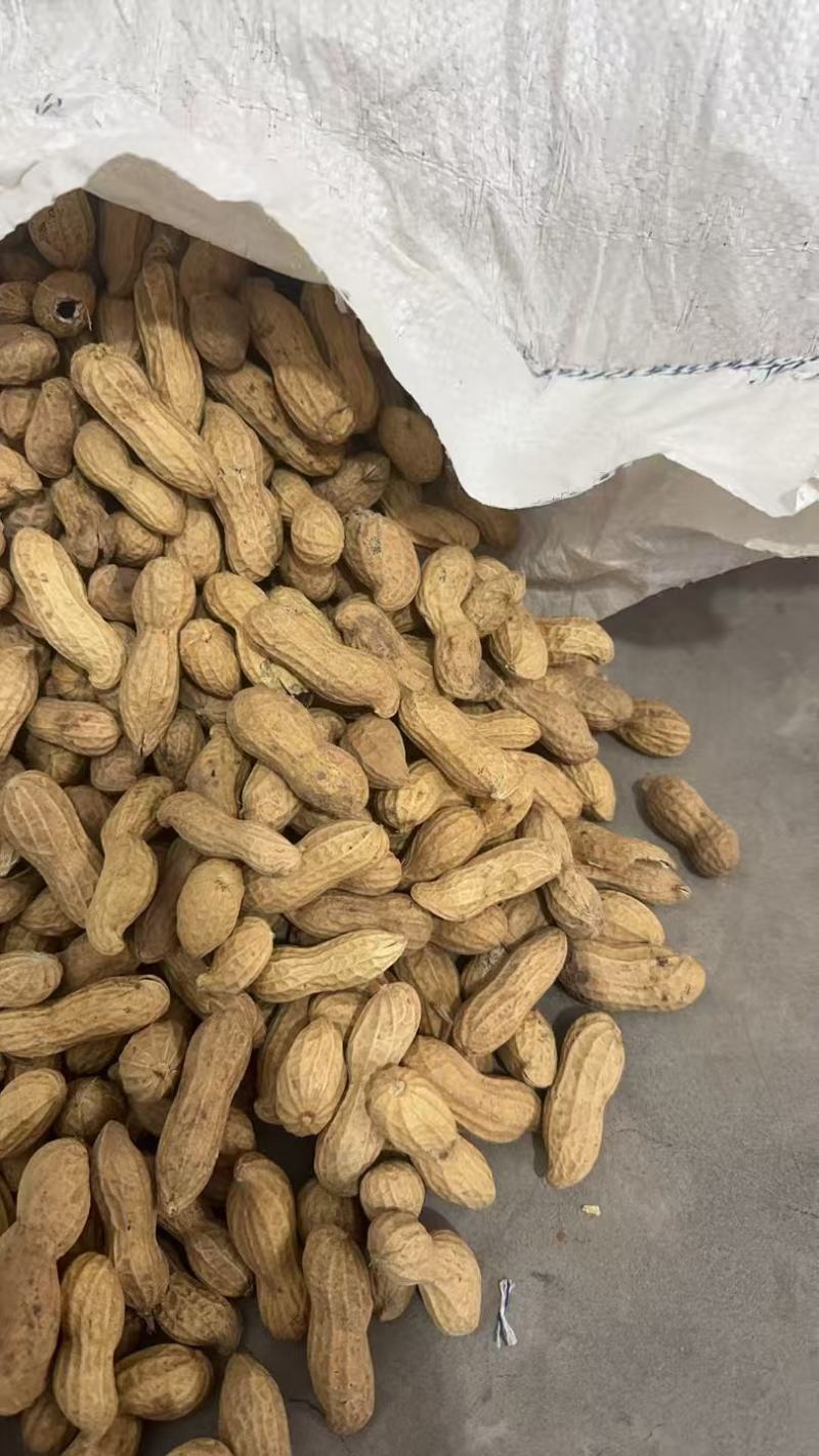 富硒黑花生安徽花生带壳干花生基地直发价格实惠欢迎老板联系