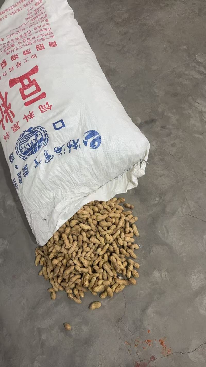 富硒黑花生安徽花生带壳干花生基地直发价格实惠欢迎老板联系