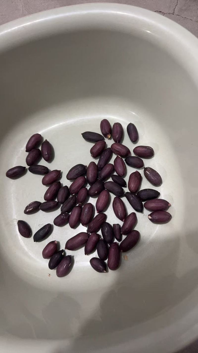 富硒黑花生安徽花生带壳干花生基地直发价格实惠欢迎老板联系