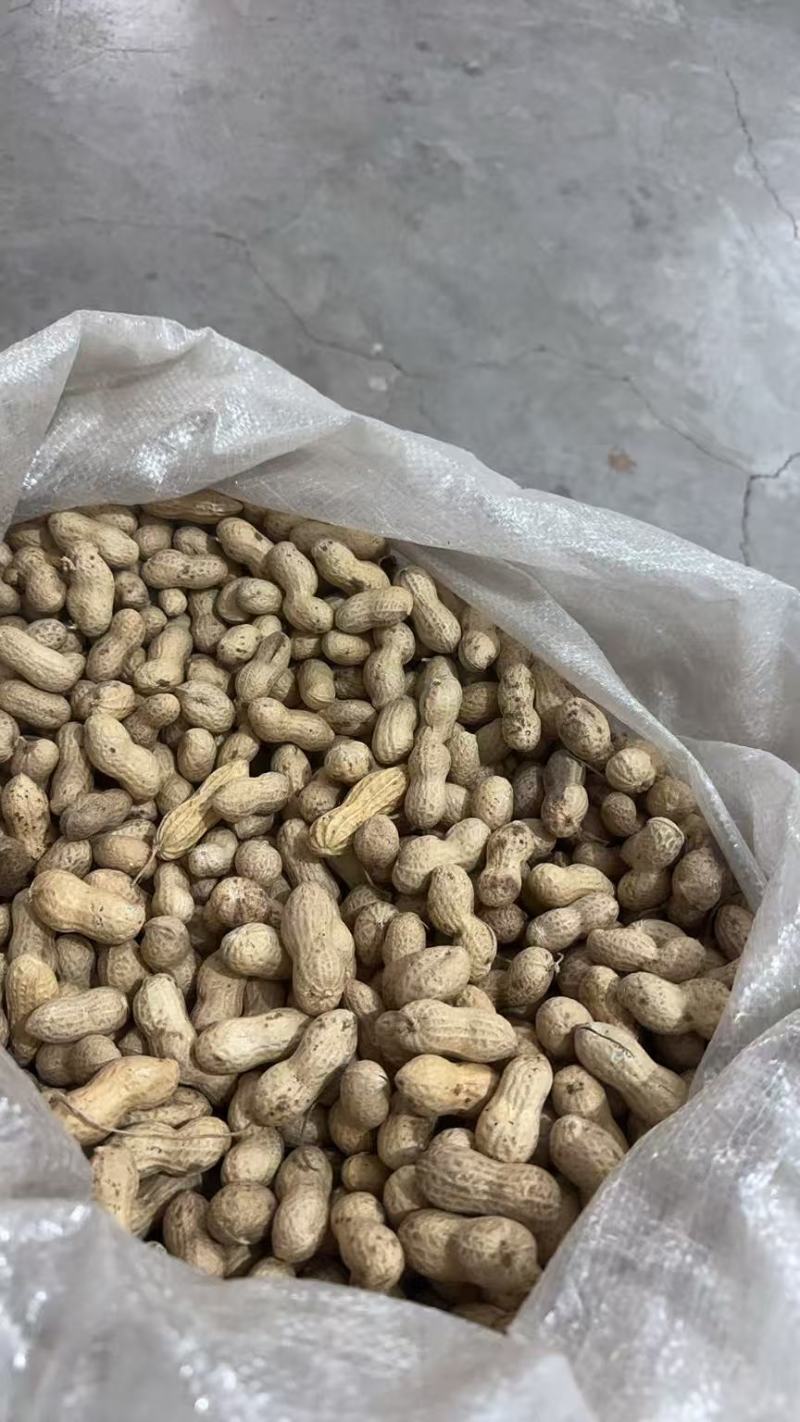 富硒黑花生安徽花生带壳干花生基地直发价格实惠欢迎老板联系