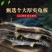 龟板正品生龟板个大壳厚龟板龟甲中华草龟底板生批发零售