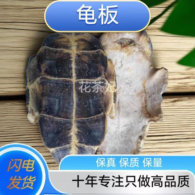 龟板正品生龟板个大壳厚龟板龟甲中华草龟底板生批发零售