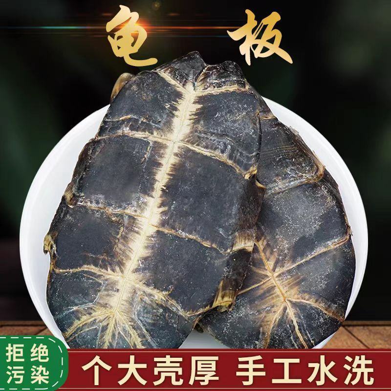 龟板正品生龟板个大壳厚龟板龟甲中华草龟底板生批发零售