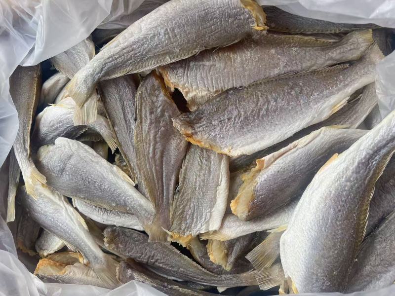 三牙鱼干地摊电商批发三牙鱼干三齿鱼干干鱼