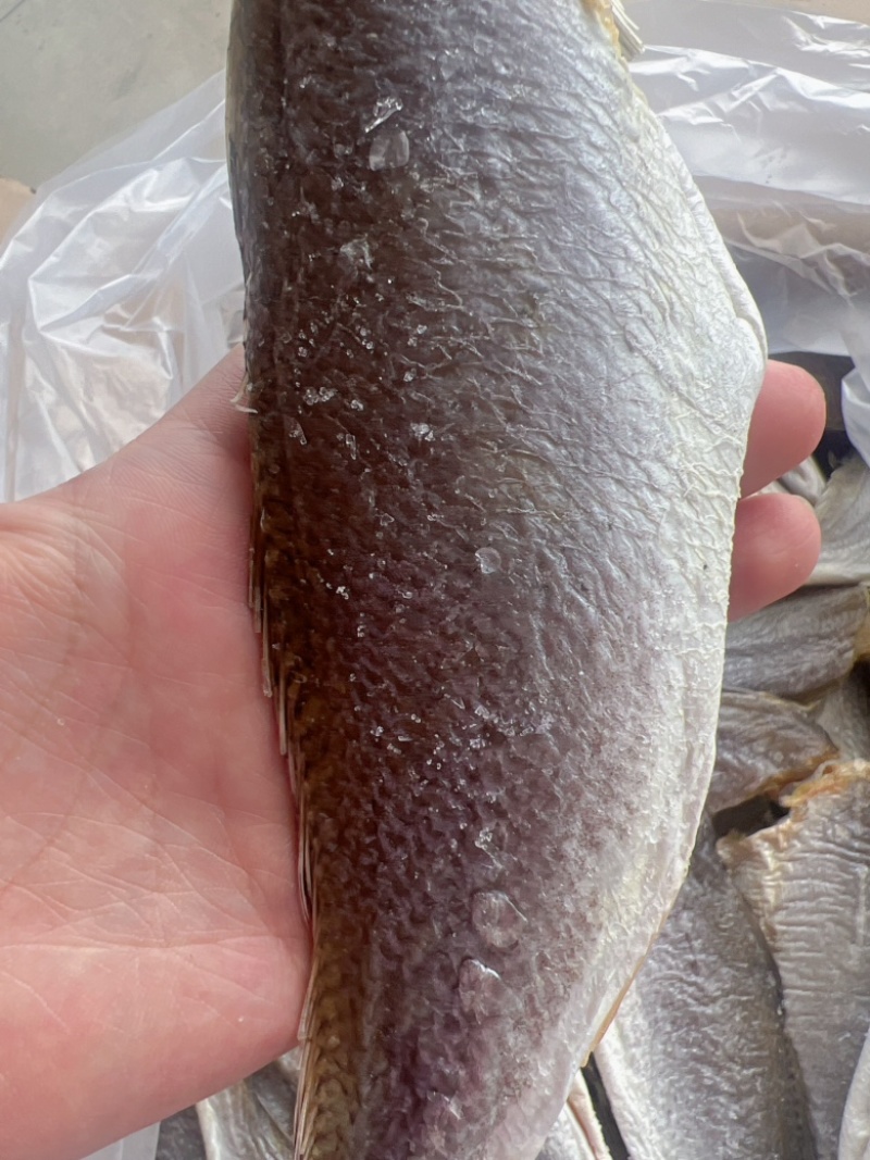 三牙鱼干地摊电商批发三牙鱼干三齿鱼干干鱼
