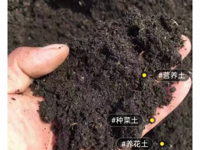 【热卖】蚯蚓粪基地直销量大质优价格优惠欢迎采购咨询