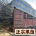 大五棱山楂树苗4-6年苗自家基地现挖现发保定产地批发