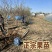 大五棱山楂树苗4-6年苗自家基地现挖现发保定产地批发