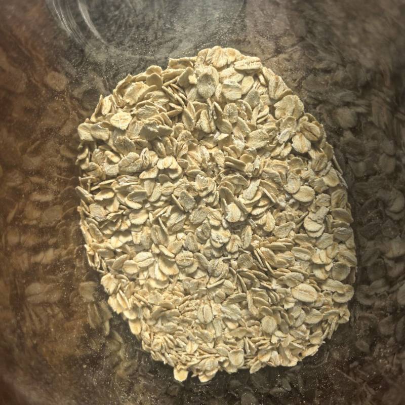 澳洲燕麦片