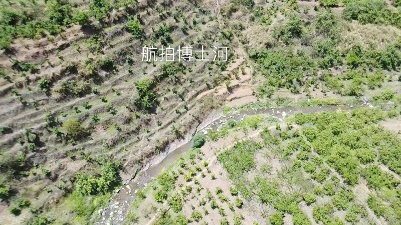 九洞天十万亩樱桃基地，我们村的樱桃基地开园了！