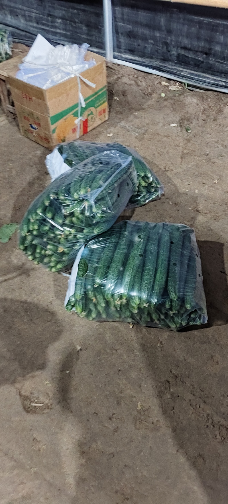 黄瓜精品通货