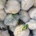 河南焦作博爱青梗白面有机花菜2斤左右长期供各大批发市场