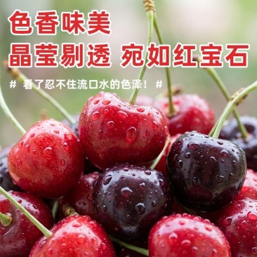 美早樱桃，各大电商市场发货，纯甜，售后低，质量有保障，