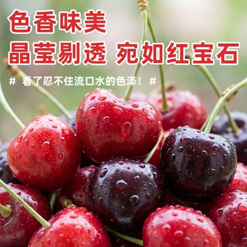 美早樱桃，各大电商市场发货，纯甜，售后低，质量有保障，