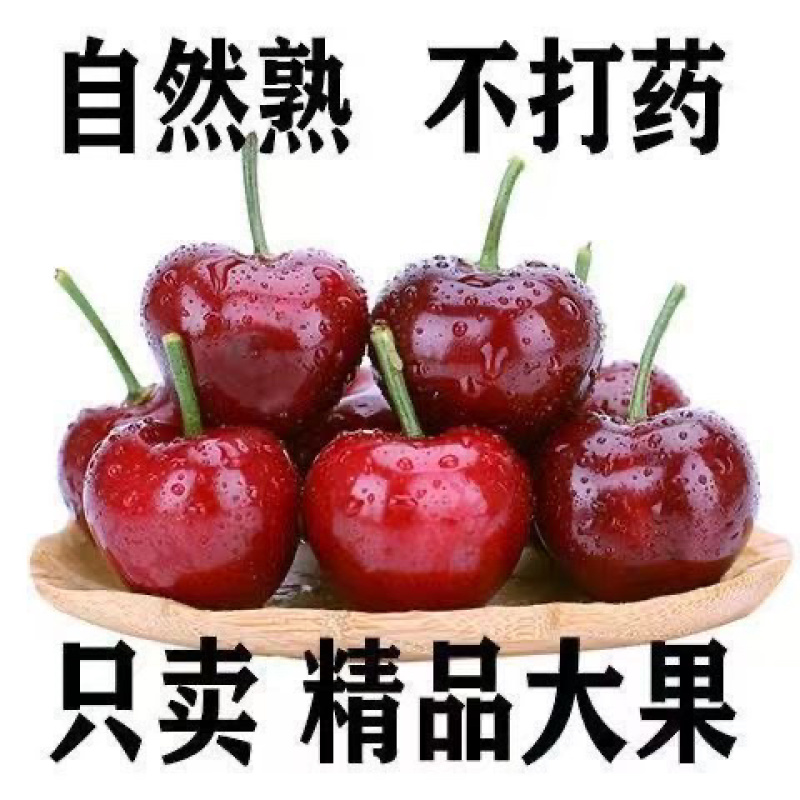 美早樱桃，各大电商市场发货，纯甜，售后低，质量有保障，