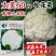 免盖球松花菜种子太美60青梗松花菜抗晒抗病花椰菜种子