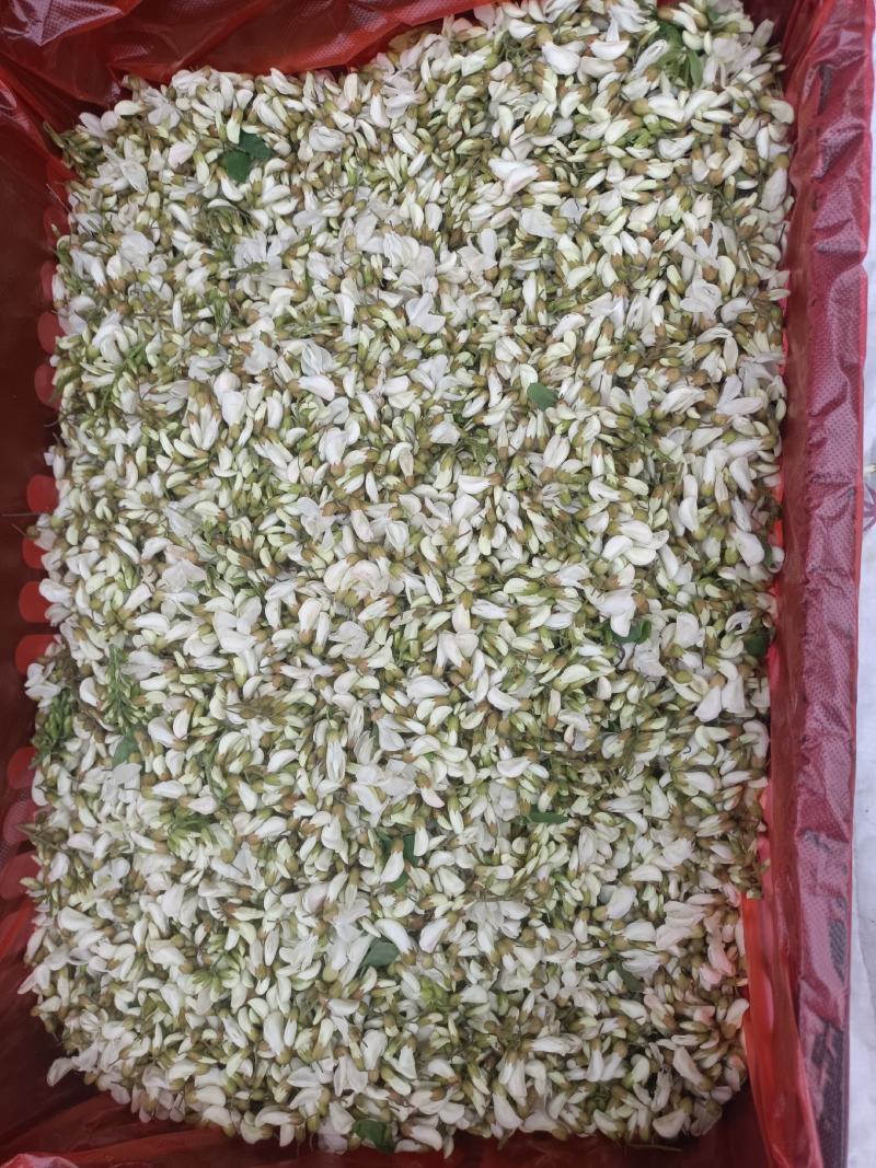洋槐花