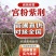 基地直销—宫粉紫荆3-4-5-8-10-12-15分出售