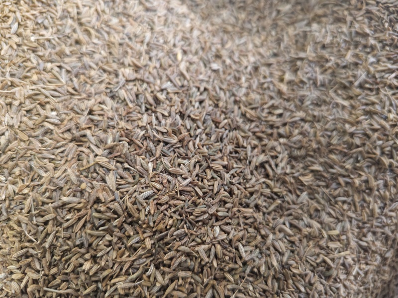 孜然粒印度进口孜然新疆孜然孜然粉量大价格优势