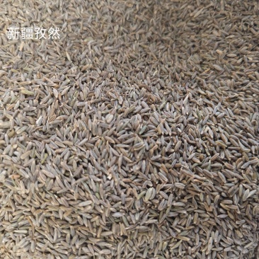 孜然粒印度进口孜然新疆孜然孜然粉量大价格优势