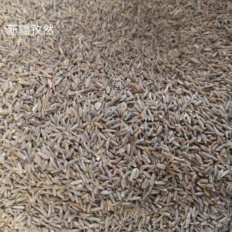 孜然粒印度进口孜然新疆孜然孜然粉量大价格优势