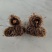 竹笋虫虫茧竹虫茧笋虫茧品质保证价格实惠欢迎联系
