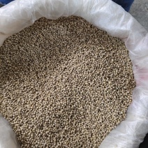白胡椒全干正宗海南流水白胡椒又香又辣量大价格优势