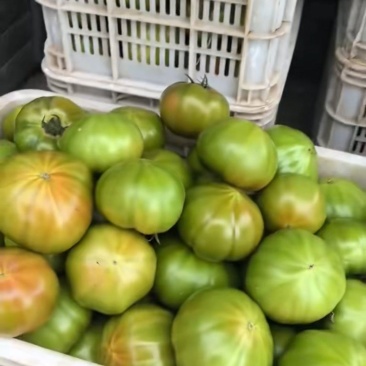 拉维纳