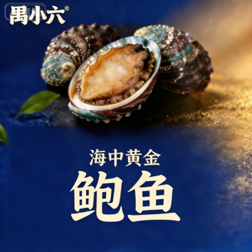 鲜冻活鲍，极速锁鲜，保留实物原本的味道，鲜美