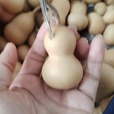 小美葫芦