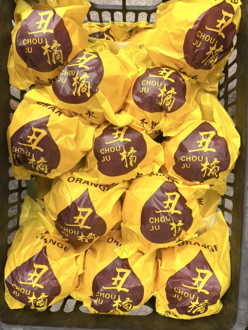 四川产地不知火大量新鲜采摘口感源头直供