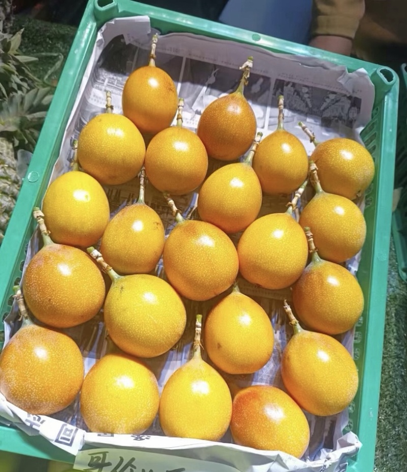 临沧热情果