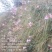 ***土蜂蜜