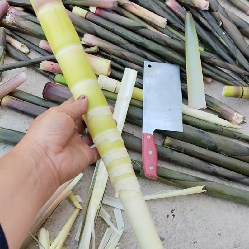 竹笋水竹笋带壳或是去壳加工都可以接单安排
