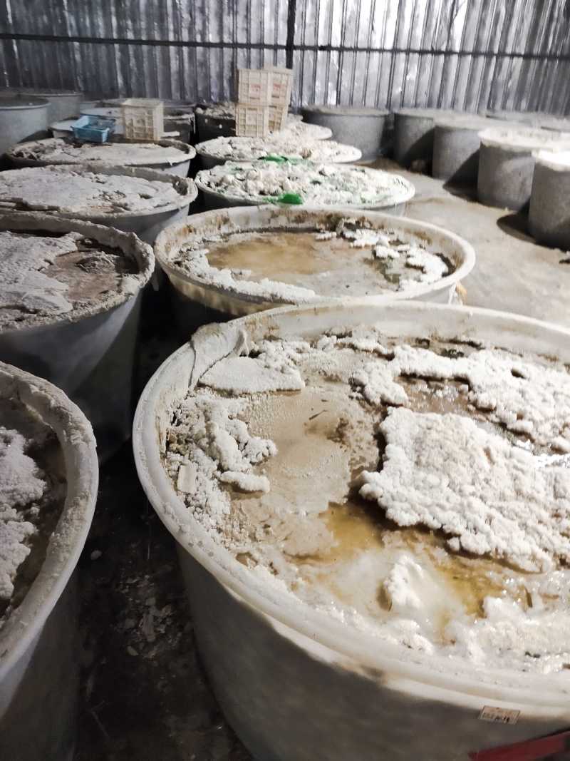 大量批发生咸鸭蛋，食品厂，粽子厂，蛋黄酥，寿司店专用。