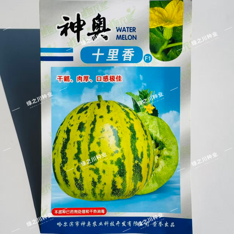 神奥十里香甜瓜种子高糖绿肉干瓤八里香甜瓜种子升级香瓜种籽