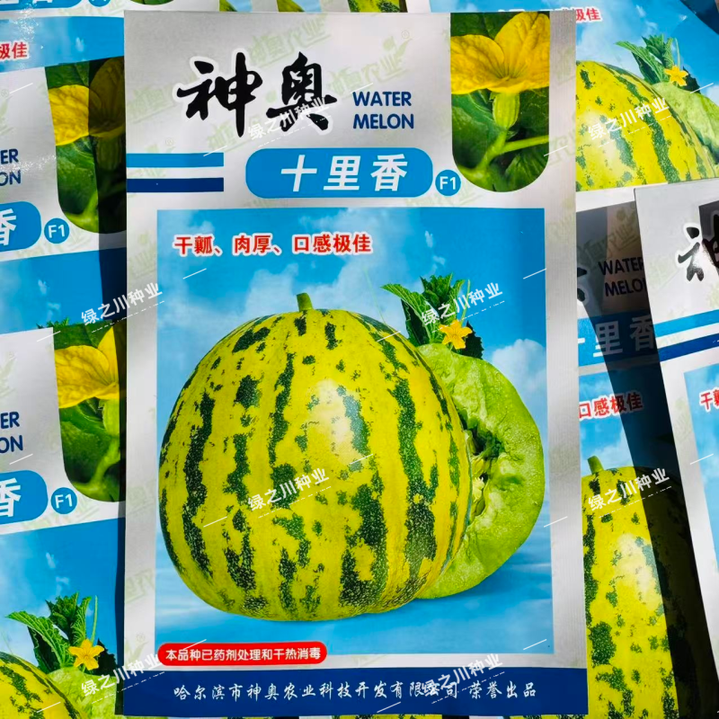 神奥十里香甜瓜种子高糖绿肉干瓤八里香甜瓜种子升级香瓜种籽